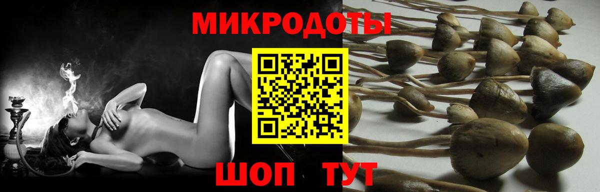 Псилоцибиновые грибы мицелий  Галлюциногенные грибы Cubensis  хочу наркоту  Вход с VPN  Череповец 